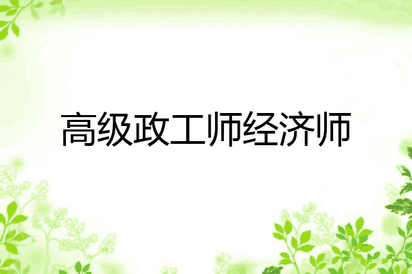 高级政工师经济师