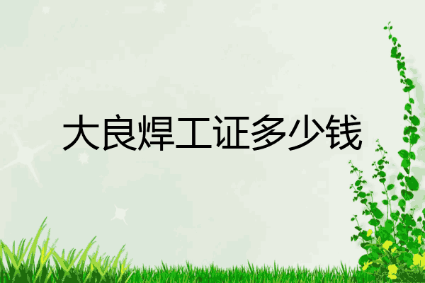 大良焊工证多少钱