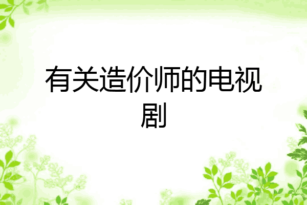 有关造价师的电视剧