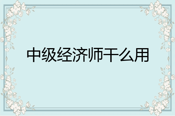 中级经济师干么用