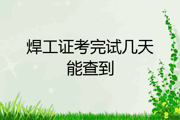 焊工证考完试几天能查到