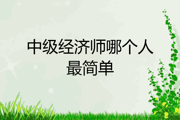 中级经济师哪个人最简单