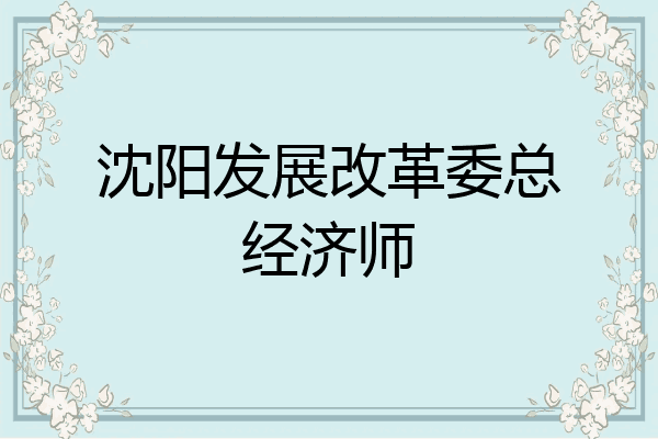 沈阳发展改革委总经济师
