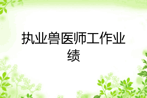执业兽医师工作业绩