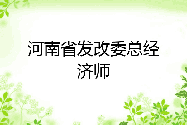河南省发改委总经济师