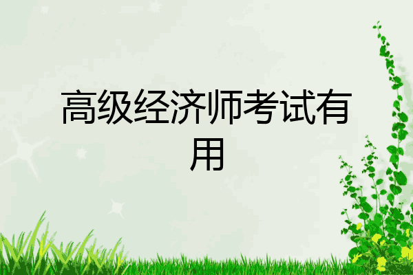 高级经济师考试有用