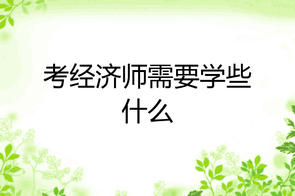 考经济师需要学些什么