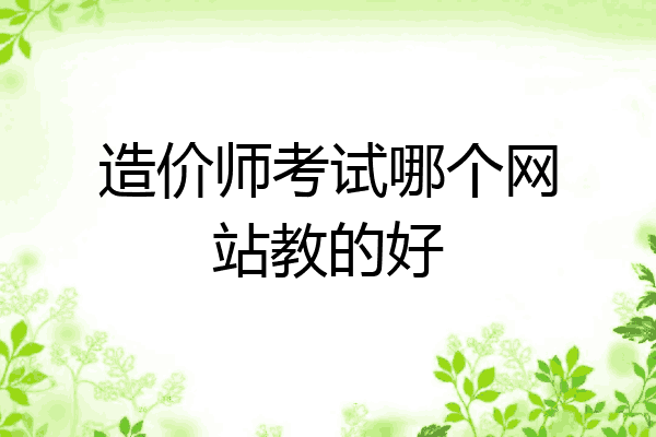 造价师考试哪个网站教的好