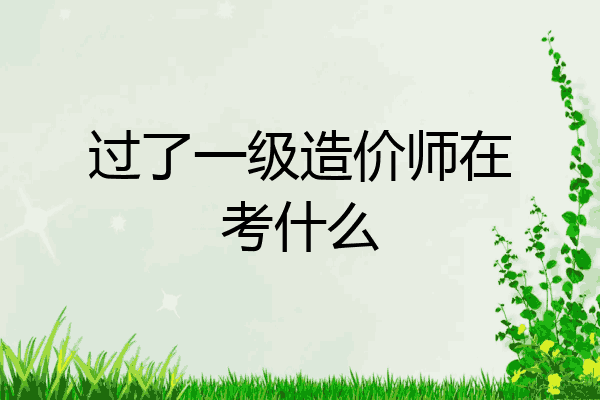 过了一级造价师在考什么