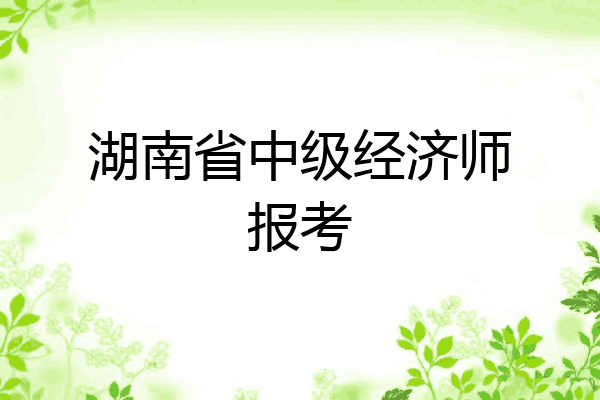 湖南省中级经济师报考