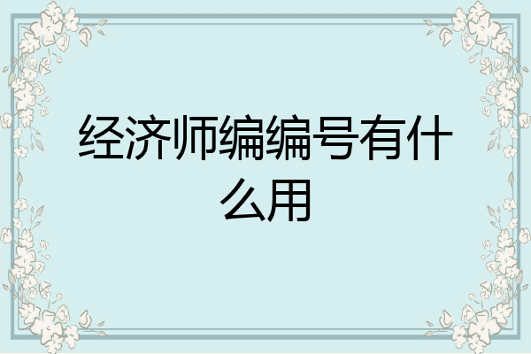 经济师编编号有什么用
