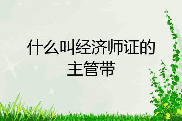 什么叫经济师证的主管带