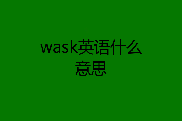 wask英语什么意思