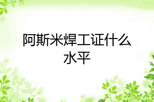 阿斯米焊工证什么水平