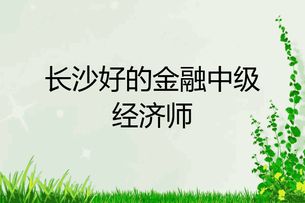 长沙好的金融中级经济师
