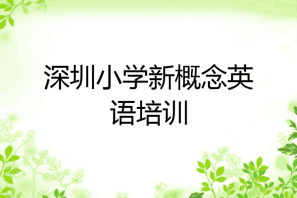 深圳小学新概念英语培训