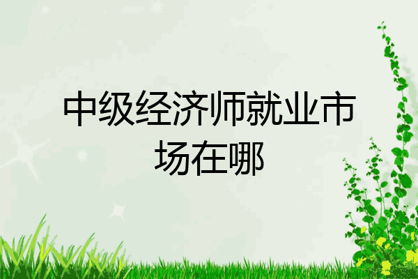 中级经济师就业市场在哪