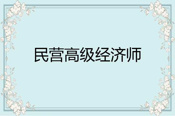 民营高级经济师