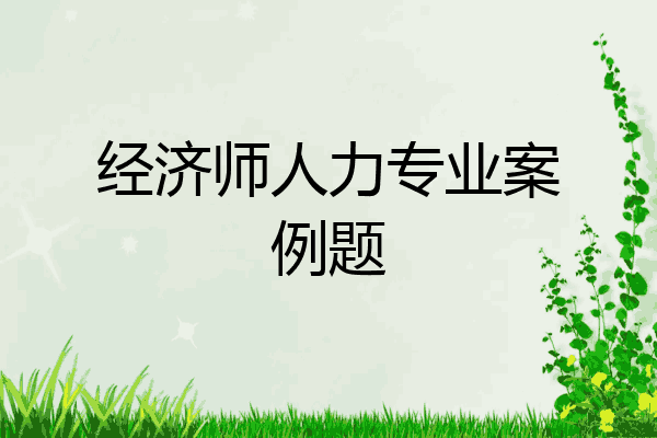 经济师人力专业案例题