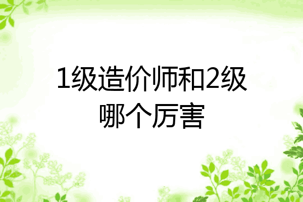 1级造价师和2级哪个厉害