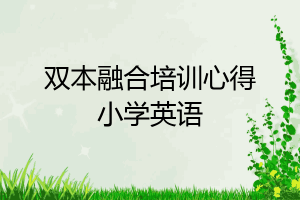 双本融合培训心得小学英语