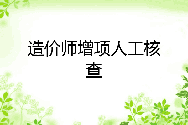 造价师增项人工核查