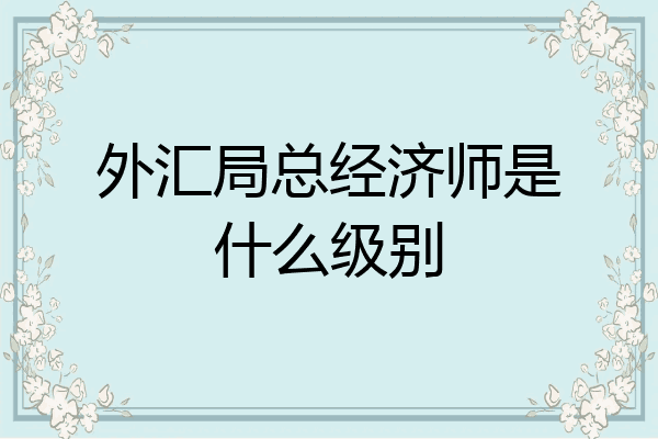 外汇局总经济师是什么级别