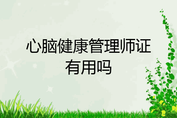 心脑健康管理师证有用吗