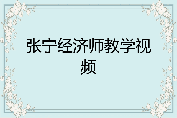 张宁经济师教学视频