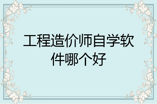 工程造价师自学软件哪个好
