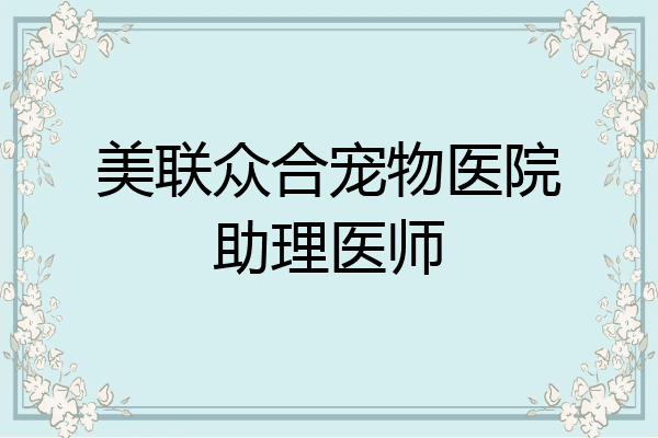 美联众合宠物医院助理医师