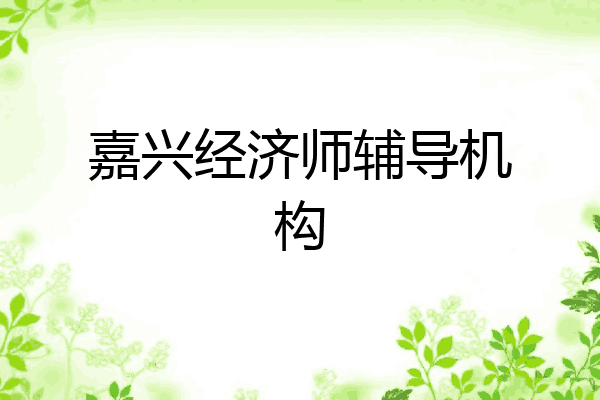 嘉兴经济师辅导机构