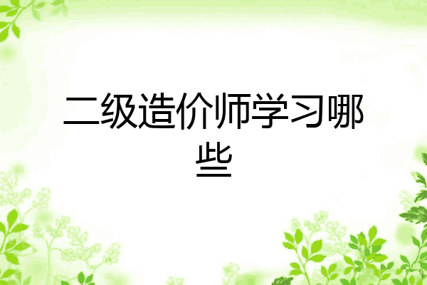 二级造价师学习哪些