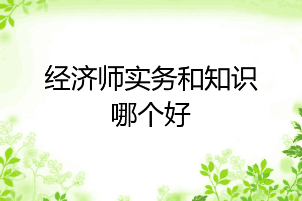 经济师实务和知识哪个好