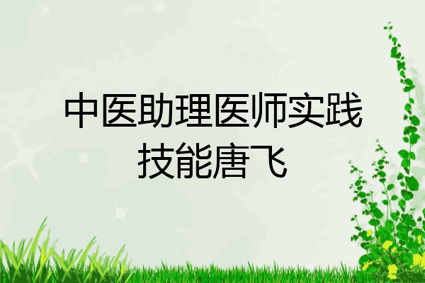 中医助理医师实践技能唐飞