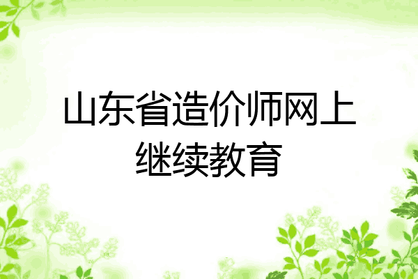 山东省造价师网上继续教育