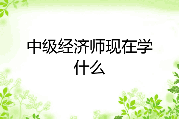 中级经济师现在学什么