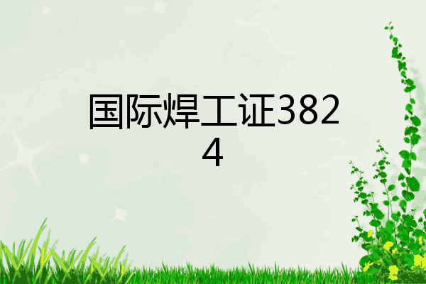 国际焊工证3824