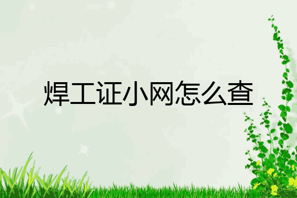 焊工证小网怎么查