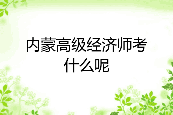 内蒙高级经济师考什么呢