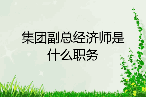 集团副总经济师是什么职务