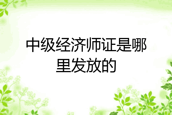 中级经济师证是哪里发放的