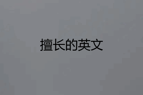 擅长的英文