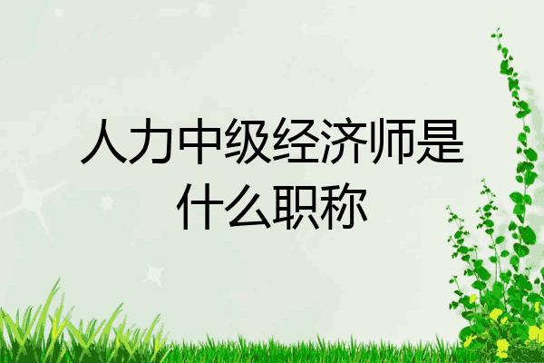 人力中级经济师是什么职称