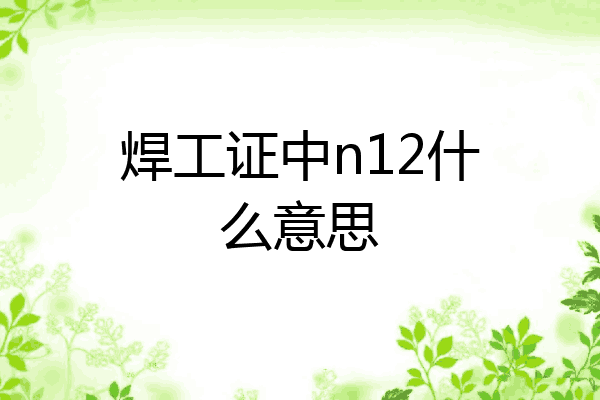 焊工证中n12什么意思
