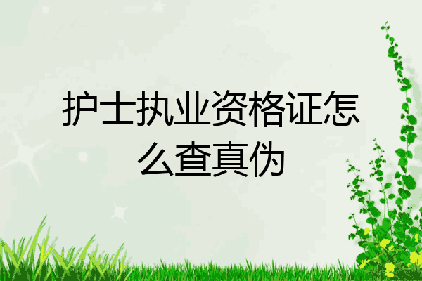 护士执业资格证怎么查真伪
