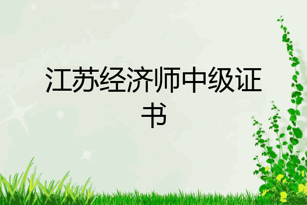 江苏经济师中级证书