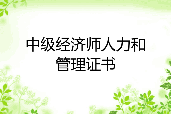 中级经济师人力和管理证书