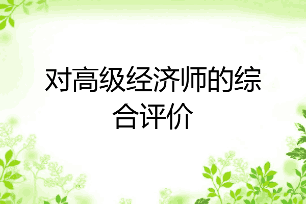 对高级经济师的综合评价