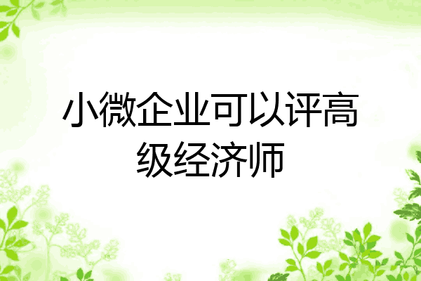 小微企业可以评高级经济师